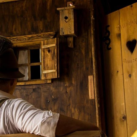 Chalet 164 バート・ゴイーザーン エクステリア 写真