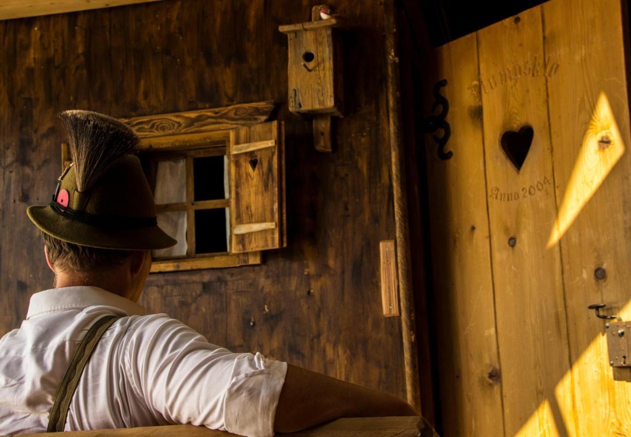 Chalet 164 バート・ゴイーザーン エクステリア 写真